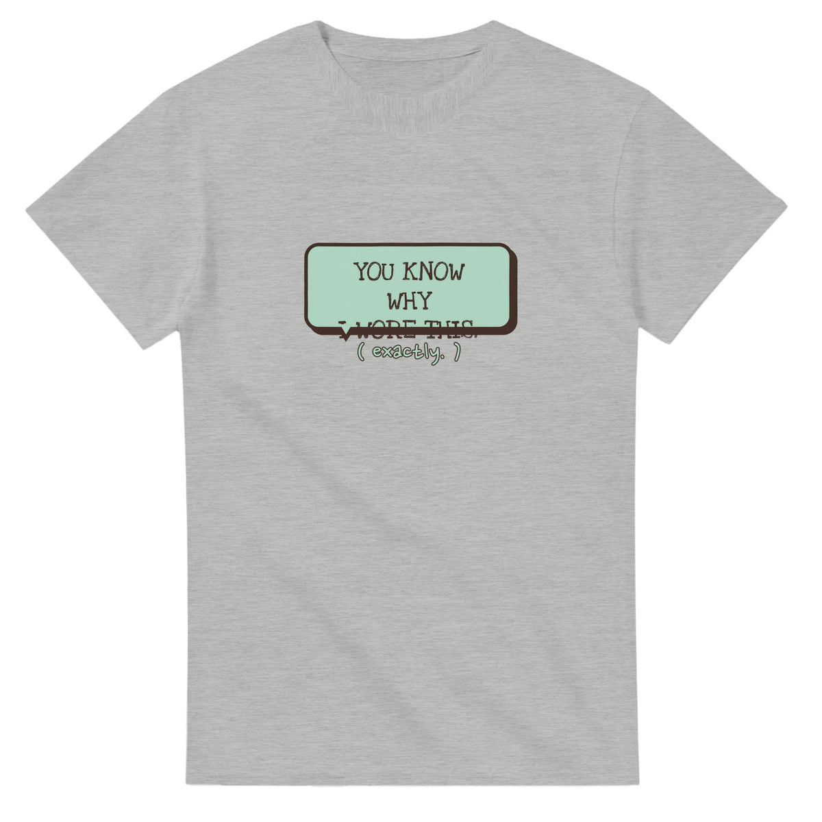 You Know Why I Wore This — ash unisex t-shirt