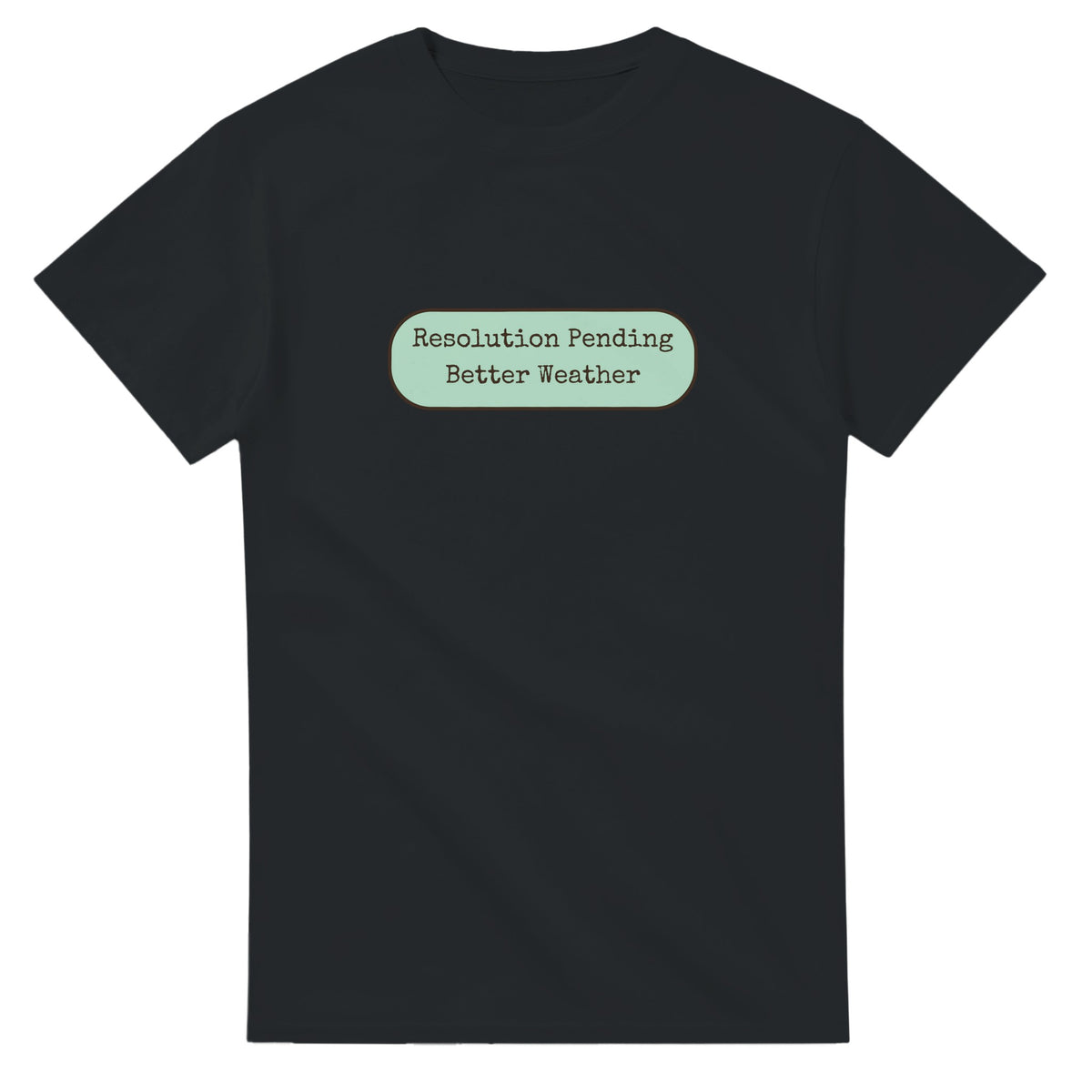 Resolution Pending Better Weather — black unisex t-shirt
