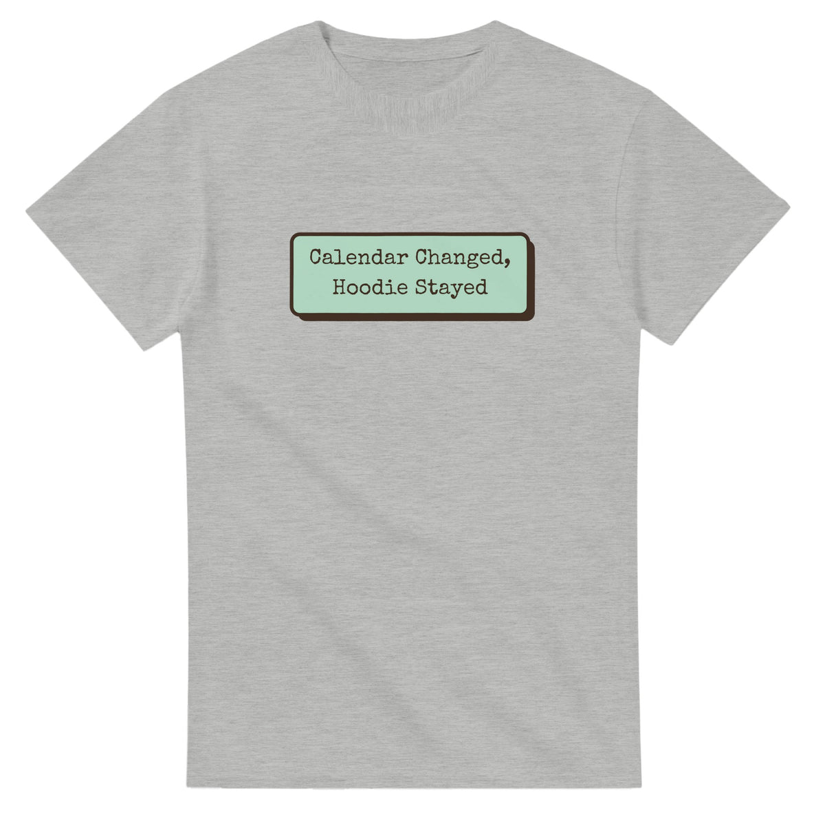 Calendar Changed, Hoodie Stayed — ash unisex t-shirt