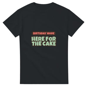 Birthday Mode: Here For The Cake — black unisex t-shirt