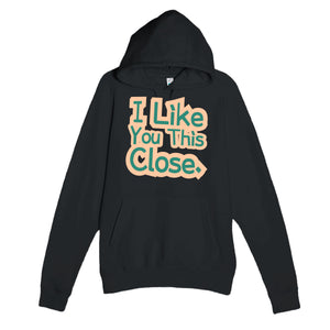 I Like You This Close — funny black unisex hoodie