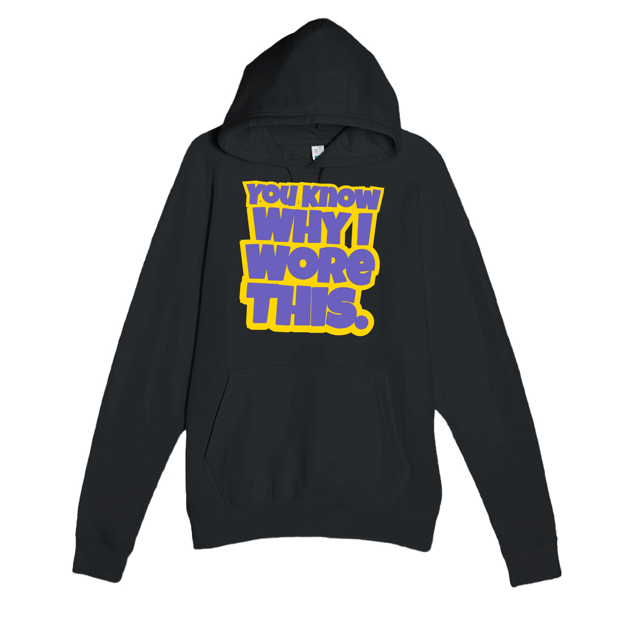 You Know Why I Wore This — funny black unisex hoodie